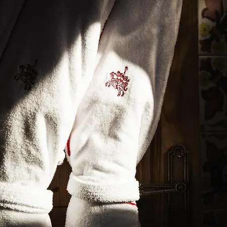 Hotel Saint-georges Relais & Chateaux